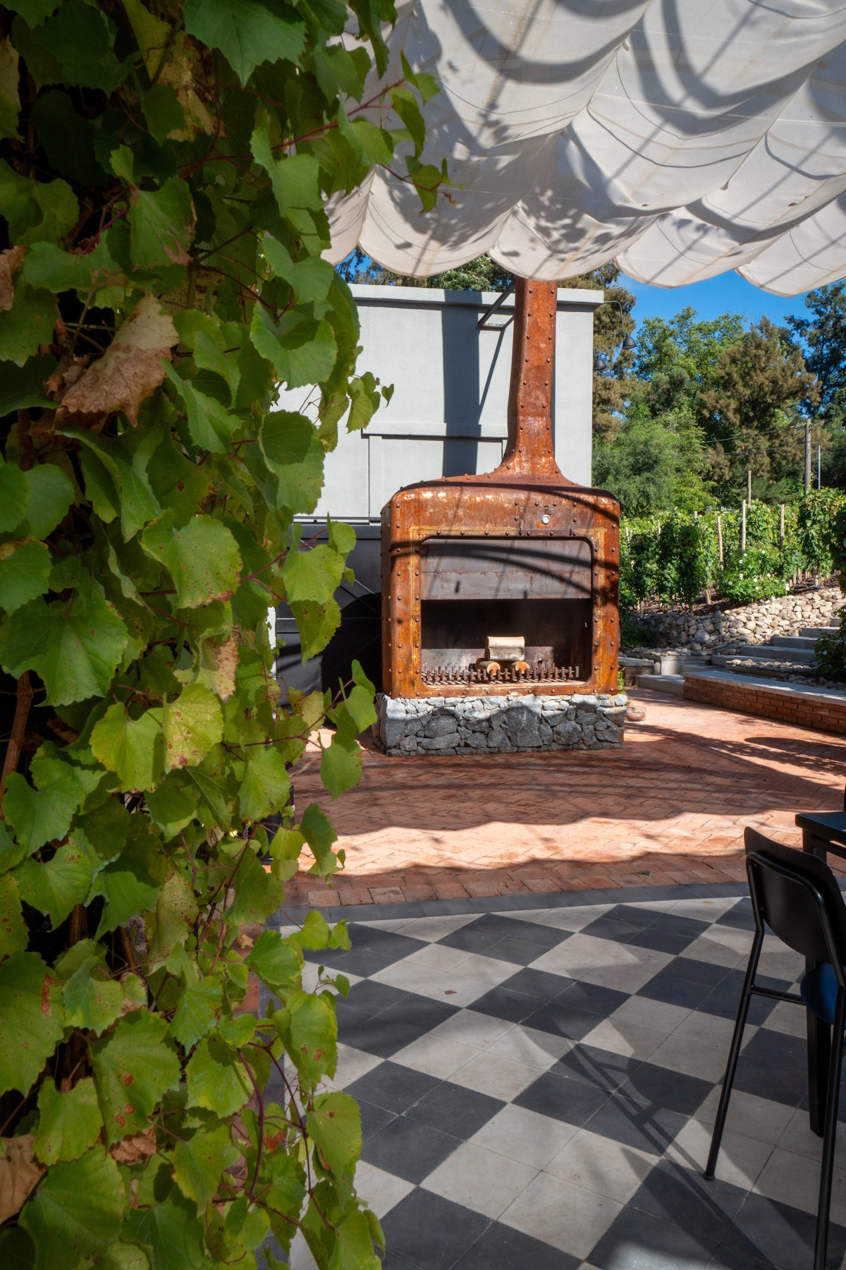 Productos del Mercado 6